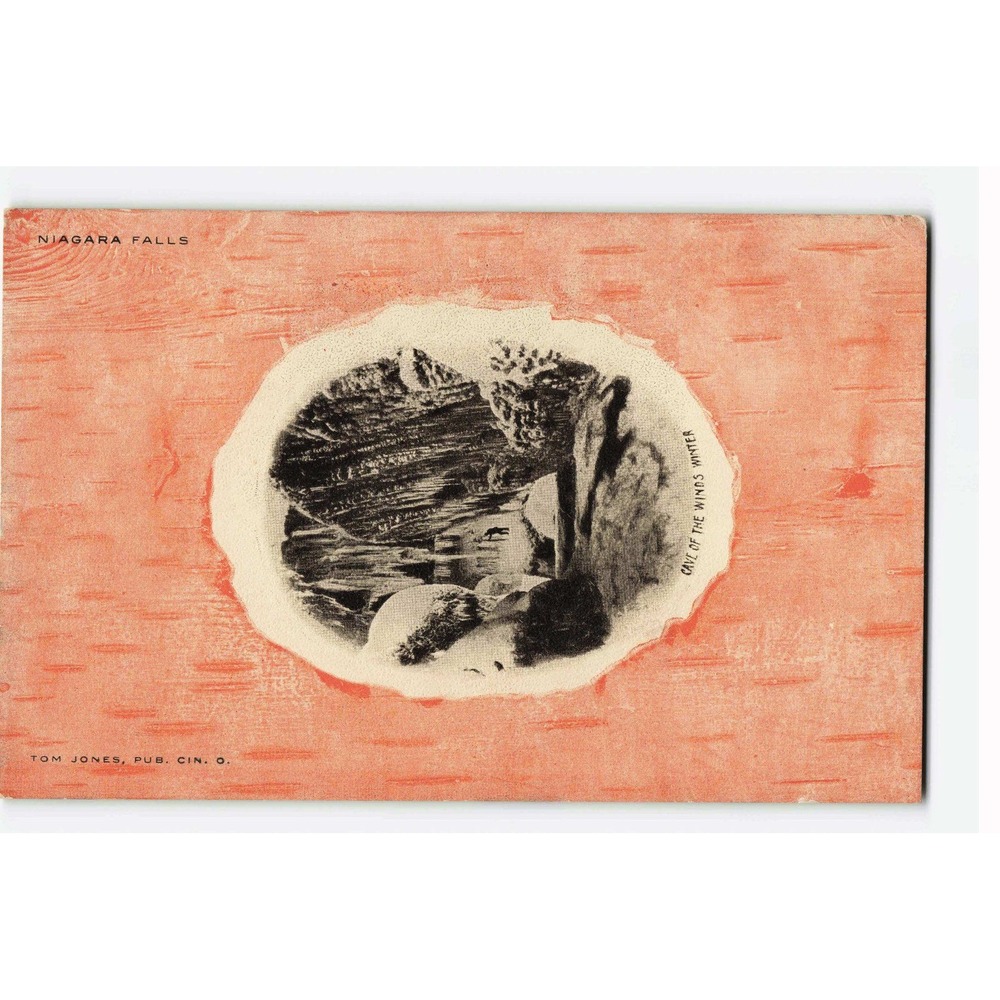 Vintage Niagara Falls Cave of the Winds Winter Birch Bark Postcard Tom Jones